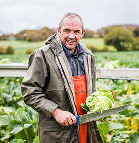 Produzent von Romanesco-Kohl