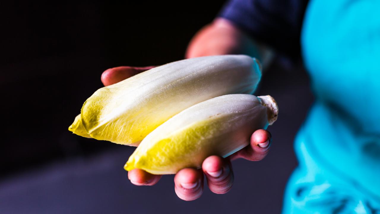 Idées de recettes à base d'endives