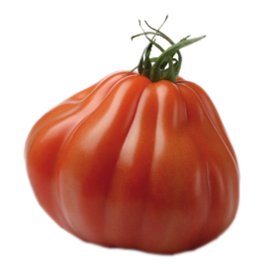 La tomate marmande d'antan