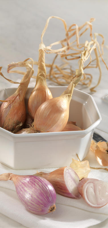 Bijouxs Basics: Shallot & Garlic Confit - Bijouxs
