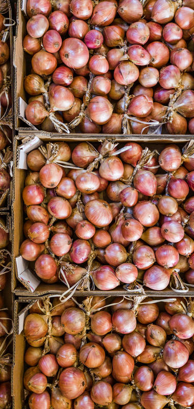Brittany pink onions  Prince de Bretagne condiments