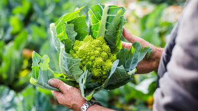 Interview with a Romanesco producer