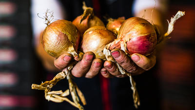 How to cook onions?