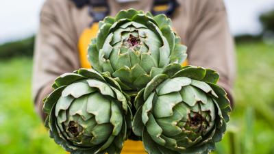 Artichoke waffles