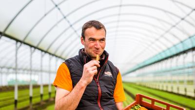 Découvrez la culture des mini carottes avec Arnaud