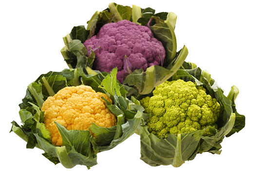 Le Chou Fleur De Couleur Legumes Maraichers Prince De Bretagne Le Chou Fleur De Couleur Legumes Maraichers Prince De Bretagne