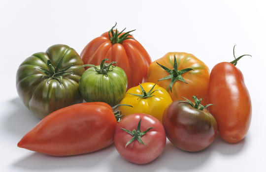 Les tomates saveurs d'antan