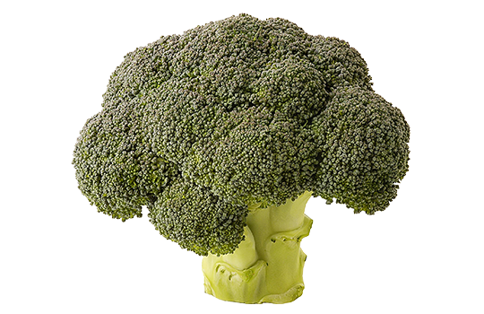 Brocoli (légumes)