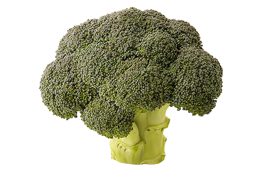 Brocoli