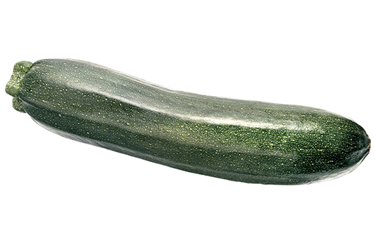 La courgette  Légumes maraîchers Prince de Bretagne