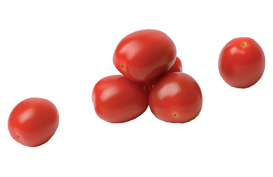 La tomate cerise cœur de pigeon | Fruits Prince de Bretagne