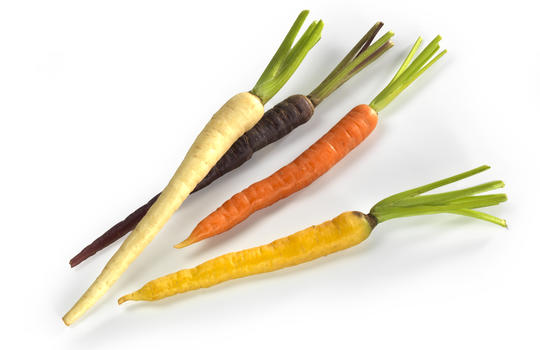 Les carottes colorées l'origine de la carotte commune - Kiss My Chef