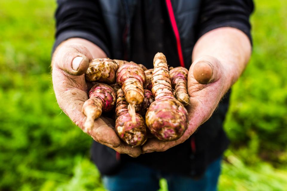 Dées De Recette De Légumes Anciens