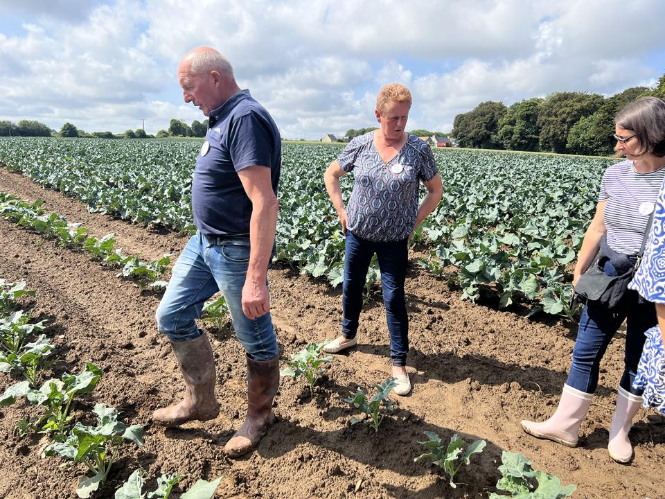 Les influenceuses à la découverte du brocoli