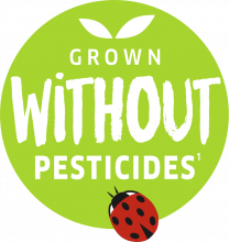 Grown without pesticides