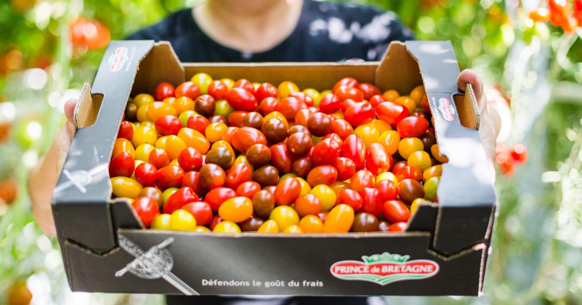 La tomate cerise tutti tomati | Fruits Prince de Bretagne