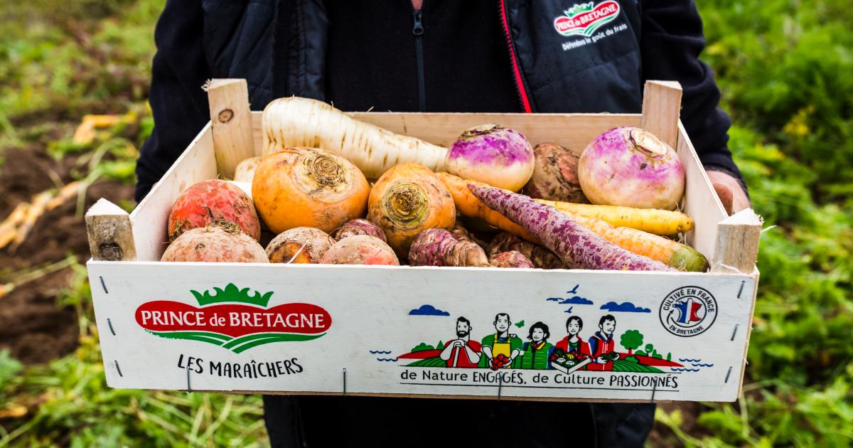 Légumes anciens : cet hiver, cuisinez les légumes oubliés !