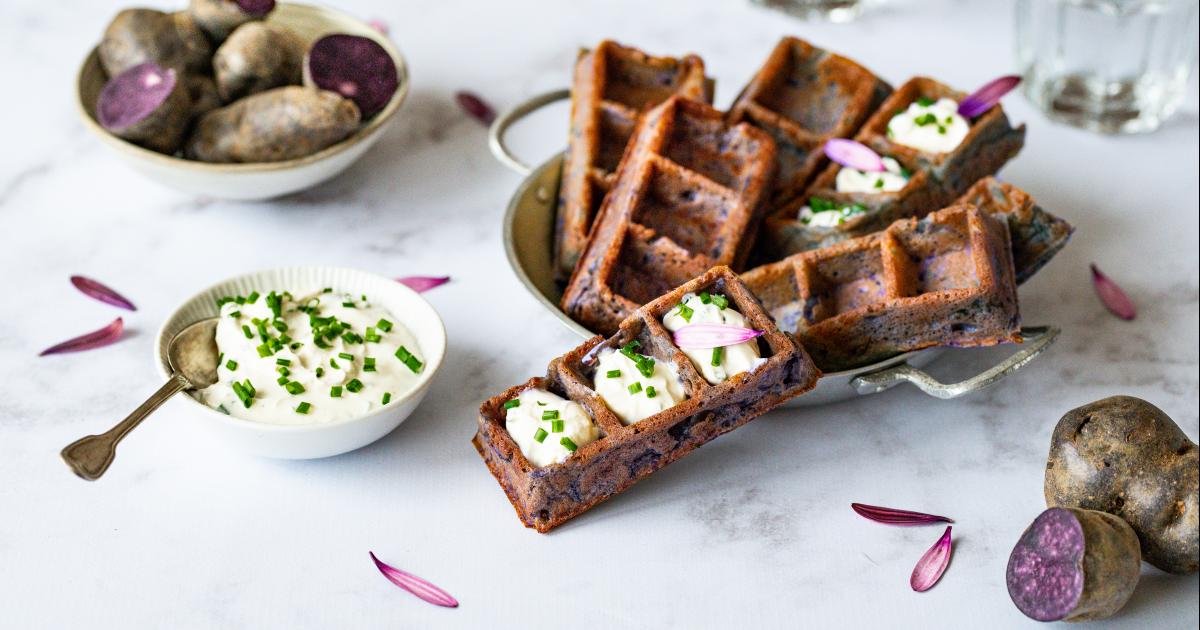 La pomme de terre vitelotte | Légumes anciens Prince de Bretagne